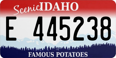 ID license plate E445238