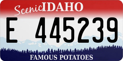 ID license plate E445239