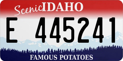 ID license plate E445241