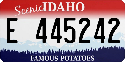 ID license plate E445242