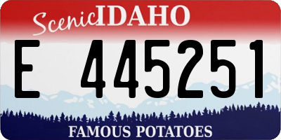 ID license plate E445251