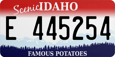 ID license plate E445254