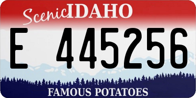 ID license plate E445256