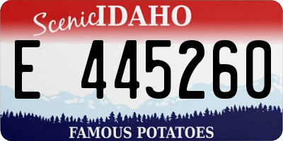 ID license plate E445260