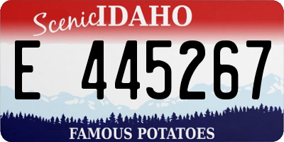 ID license plate E445267