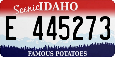 ID license plate E445273