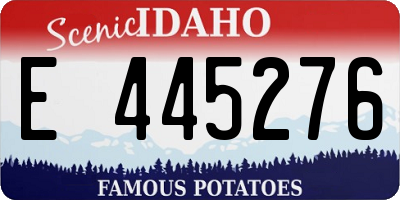 ID license plate E445276