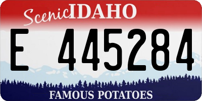 ID license plate E445284