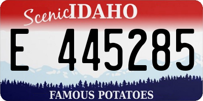 ID license plate E445285