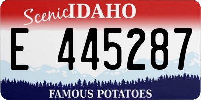 ID license plate E445287