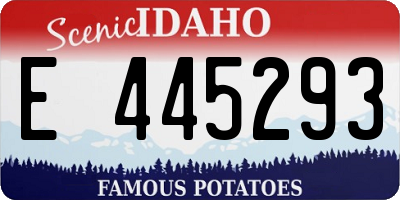 ID license plate E445293