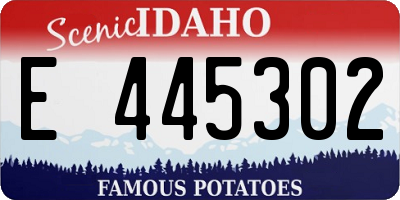 ID license plate E445302
