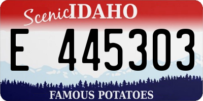 ID license plate E445303