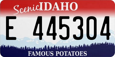ID license plate E445304