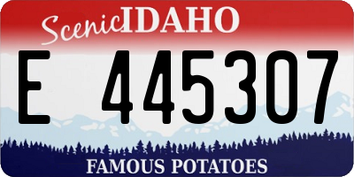 ID license plate E445307