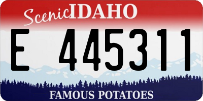 ID license plate E445311