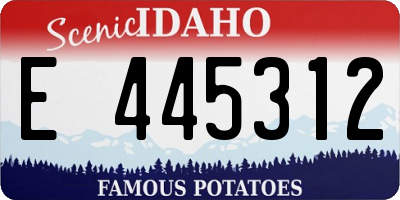 ID license plate E445312