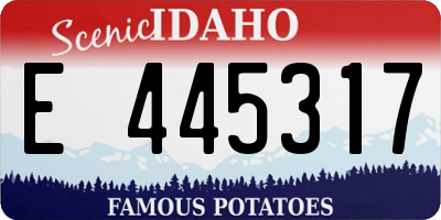 ID license plate E445317
