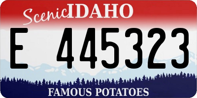 ID license plate E445323