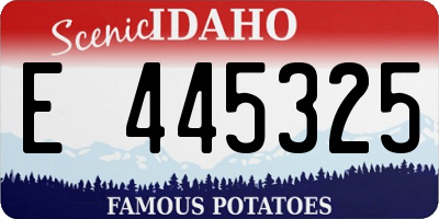 ID license plate E445325