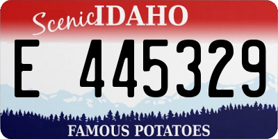 ID license plate E445329