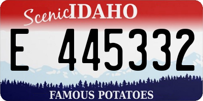 ID license plate E445332