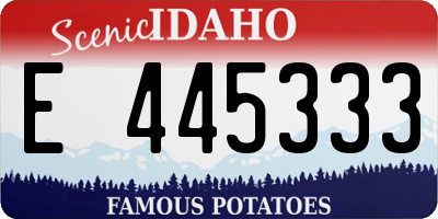 ID license plate E445333