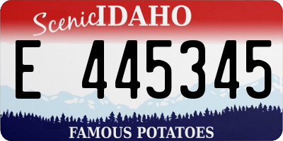 ID license plate E445345