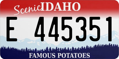ID license plate E445351