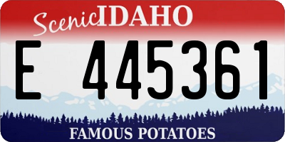 ID license plate E445361