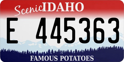 ID license plate E445363