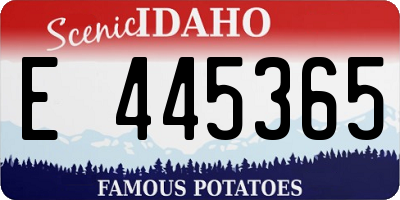 ID license plate E445365
