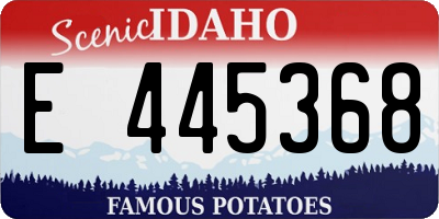 ID license plate E445368