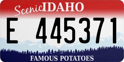 ID license plate E445371