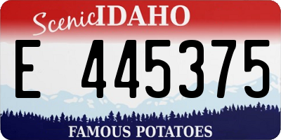 ID license plate E445375