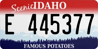 ID license plate E445377