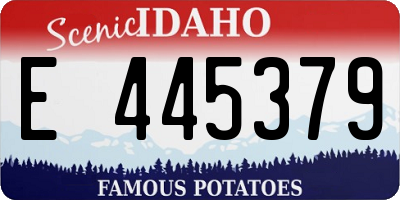 ID license plate E445379