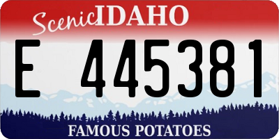 ID license plate E445381