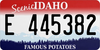 ID license plate E445382