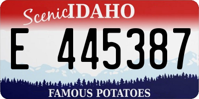 ID license plate E445387