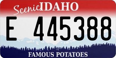 ID license plate E445388