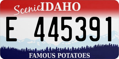 ID license plate E445391