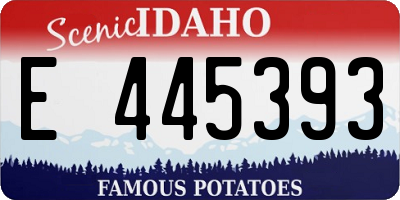 ID license plate E445393