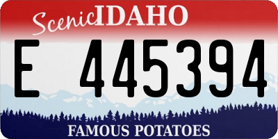 ID license plate E445394