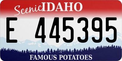 ID license plate E445395
