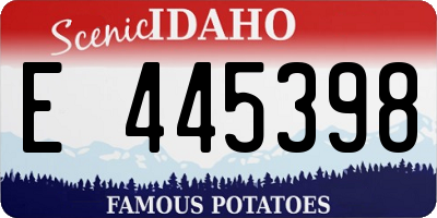 ID license plate E445398