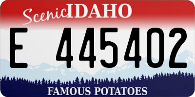 ID license plate E445402