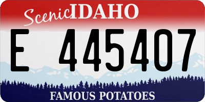 ID license plate E445407