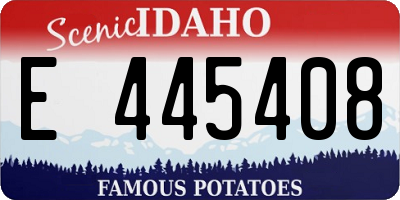 ID license plate E445408