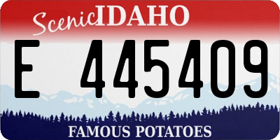 ID license plate E445409